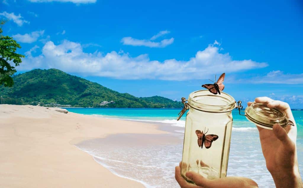 Buông bỏ không phải là thua cuộc