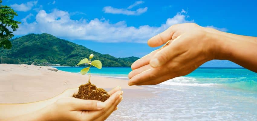 Những bài học dịu dàng của cuộc đời